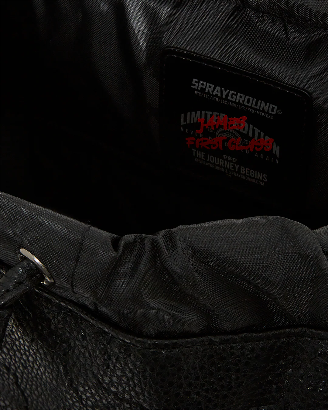 JAMES FIRST CLASS TYCOON TRAVELER MONTE CARLO BACKPACK - Image 15